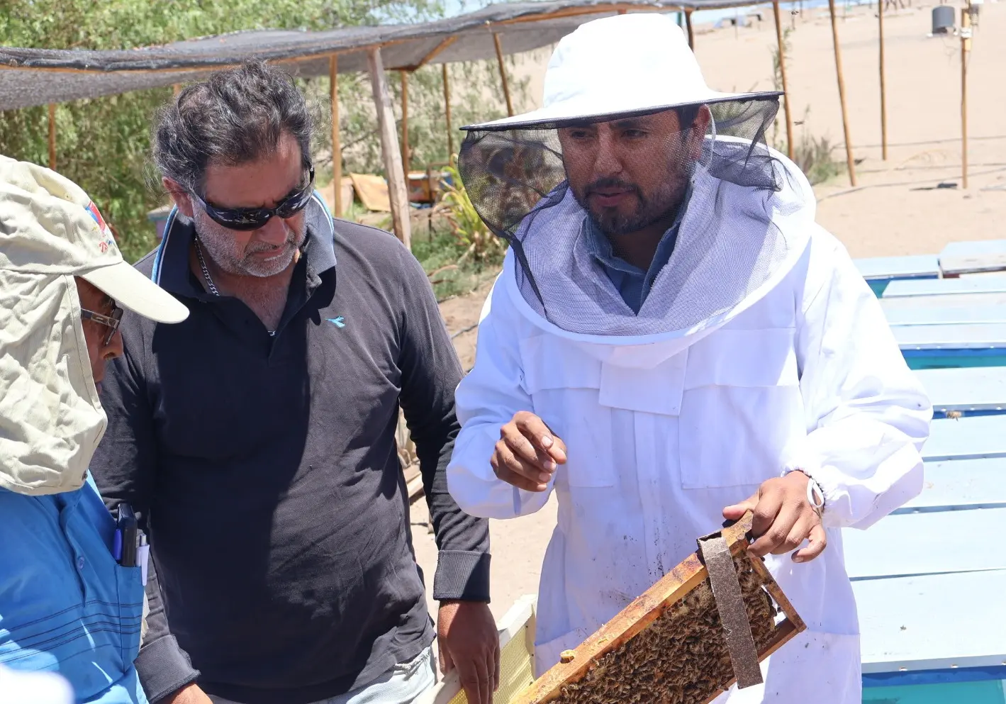 Fundación Collahuasi y Seremi de Agricultura entregan colmenas para fomentar la apicultura en el Tamarugal