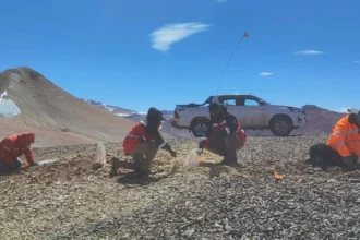Actualización de Mogotes Metals Vicuña: La perforación inicial encuentra un sistema oro-cobre a gran escala y superficial
