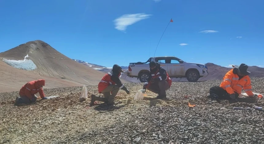 Actualización de Mogotes Metals Vicuña: La perforación inicial encuentra un sistema oro-cobre a gran escala y superficial