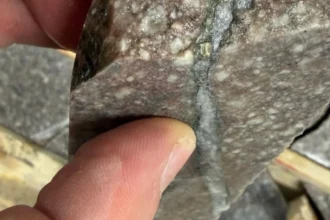 Ashley Gold presenta el TAK-26-02 para ensayo de incendios, comparte ejemplos de mineralización y proporciona actualizaciones