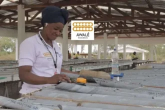 Costa de Marfil: Awalé Resources descubre oro en Fremen con intercepciones de hasta 17 metros a 1,9 g/t