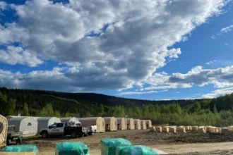 Freegold Ventures reporta intersección de 1,43 g/t de oro en 74,9 metros en Golden Summit
