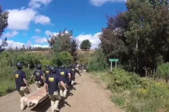 Operativo en Temucuicui: 5 detenidos y Gobierno refuerza control territorial en La Araucanía