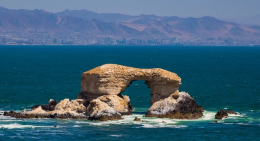 EXPONOR 2026 impulsa la economía local y pone en valor la identidad regional de Antofagasta