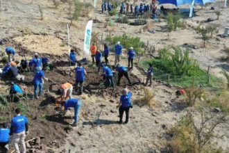 Fluor completa nueva jornada de reforestación junto a Cultiva y supera los 1.300 árboles plantados en Chile 