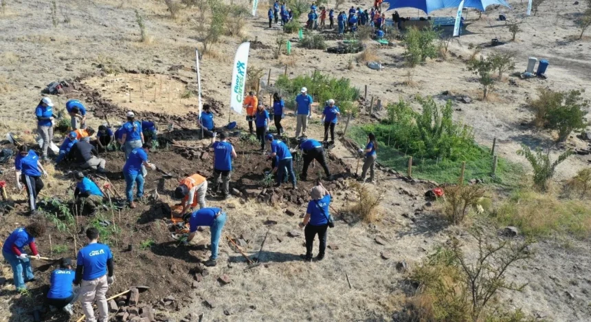 Fluor completa nueva jornada de reforestación junto a Cultiva y supera los 1.300 árboles plantados en Chile 