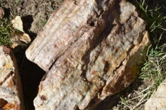 Iconic Minerals inicia exploración en propiedad New Pass Gold en Nevada