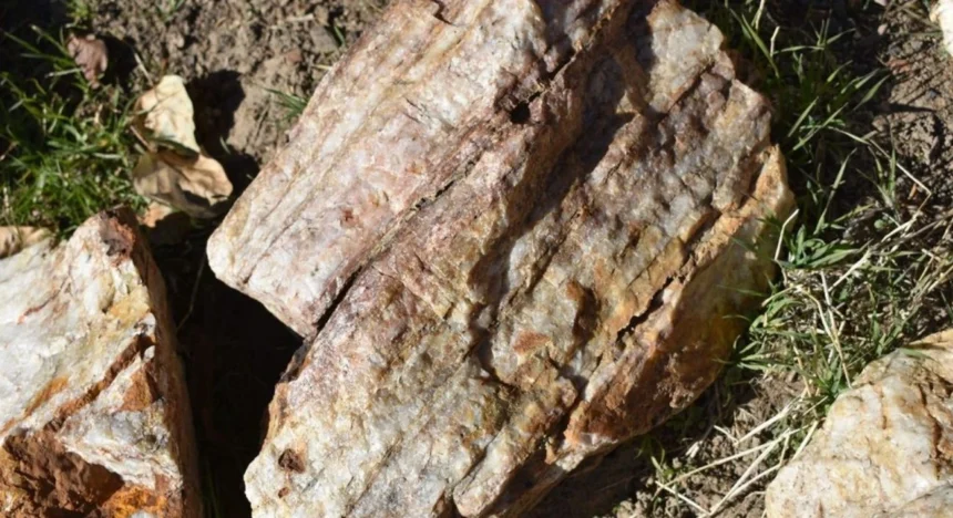 Iconic Minerals inicia exploración en propiedad New Pass Gold en Nevada