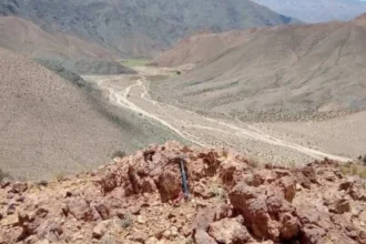 Proyecto Francisca en Salta reporta hasta 12,31 g/t de oro y refuerza potencial de un sistema mineralizado de gran escala