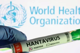 Brote de hantavirus en crucero deja 3 muertos y obliga a la OMS a crear protocolos inéditos