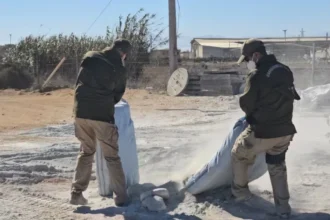 Incautan casi una tonelada de marihuana en Coquimbo, avaluada en $11 mil millones