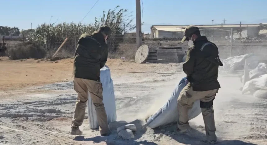 Incautan casi una tonelada de marihuana en Coquimbo, avaluada en $11 mil millones