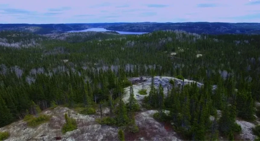 North Atlantic Titanium inicia programa de campo en Proyecto Everett tras estudio mineralógico de Corem