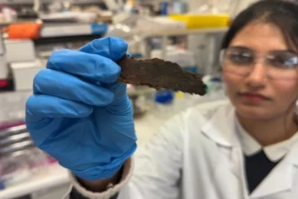 Investigadores convierten corteza de eucalipto en filtros de carbono para purificación ambiental