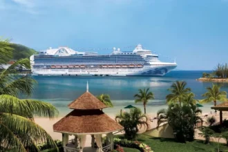 Norovirus afecta a 115 personas en crucero por el Caribe: el virus que preocupa por su rápida propagación