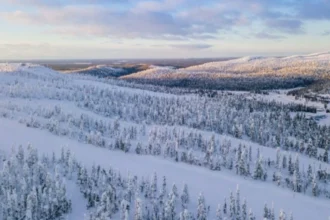 GT Resources mejora en un 38% los grados de níquel en el proyecto LK en Finlandia