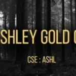 Ashley Gold concluye Fase 1 de perforación en concesiones Tak y envía núcleos para análisis
