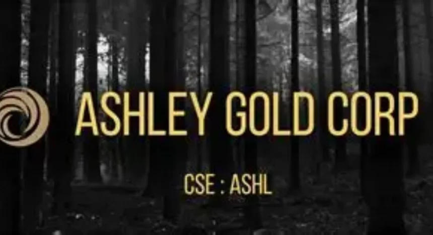 Ashley Gold concluye Fase 1 de perforación en concesiones Tak y envía núcleos para análisis