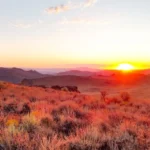 Red Canyon Resources inicia estudio ZTEM en proyecto de cobre Scraper Springs