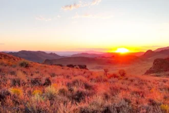 Red Canyon Resources inicia estudio ZTEM en proyecto de cobre Scraper Springs