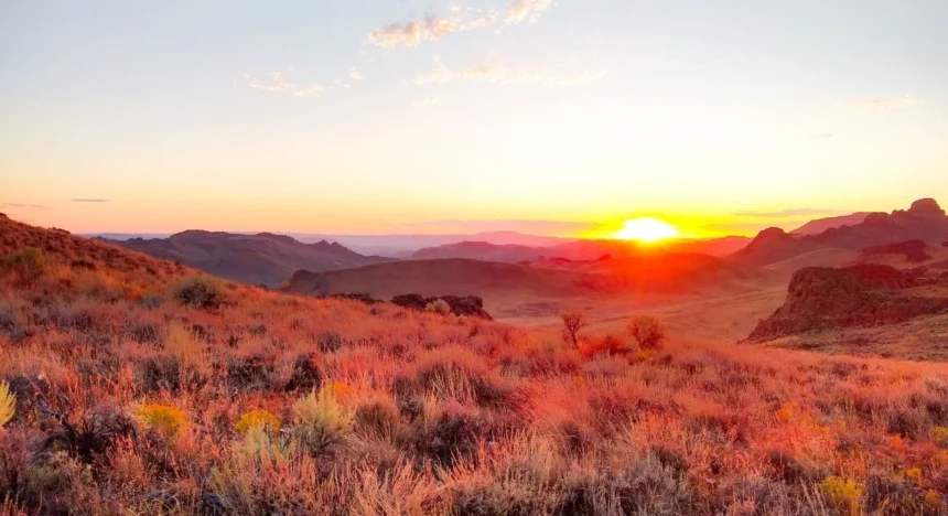 Red Canyon Resources inicia estudio ZTEM en proyecto de cobre Scraper Springs