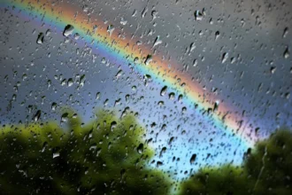 A sacar los paraguas: pronostican viento y lluvias para la zona centro y sur este fin de semana