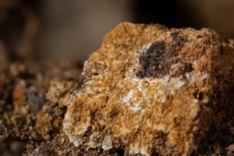 Aclara Resources continuará tramitando su proyecto de tierras raras en Penco