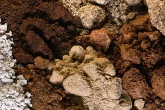 Aclara Resources inaugura planta piloto de separación de tierras raras en Virginia Tech