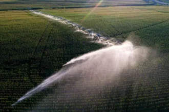 Acuífero de las Altas Llanuras: 286 millones de acre-pies menos y la presión silenciosa que puede tensionar los precios de los alimentos