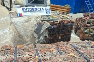 Aduanas frena exportación ilegal de cobre robado desde Arica con destino a Asia