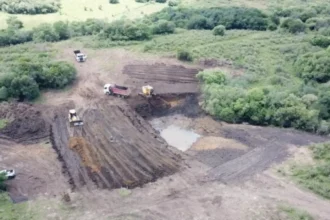 Aguia acerca el debut comercial de Pampafos tras registro clave en Brasil