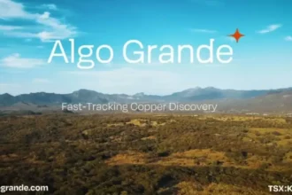 Algo Grande Copper identifica 32 objetivos de exploración de alta prioridad en Adelita