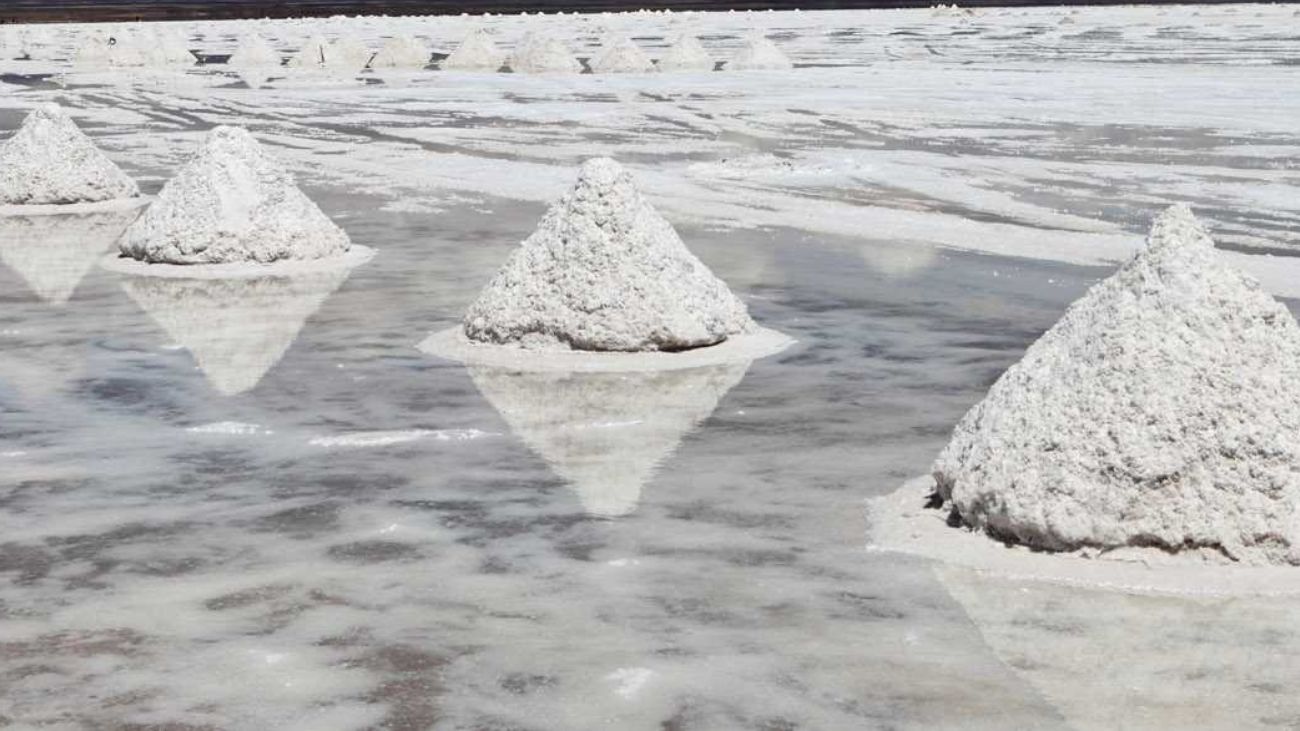Alianza entre EMP Metals y Saltworks revoluciona la industria con nueva planta de litio en Canadá, proyectando altos rendimientos económicos