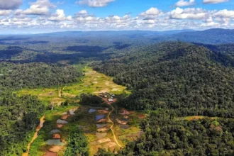 Altair Minerals sube 34% tras apuesta de A$28,2 millones de Endeavour en Guyana