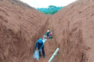Altamira Gold capta C$6,3 millones para fortalecer su programa de perforación en el proyecto Cajueiro, Brasil