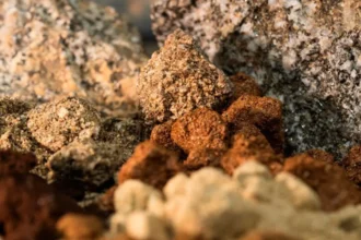 América Latina avanza como líder estratégico en tierras raras y tecnología