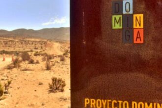 Andes Iron comprometida con la sostenibilidad: avanza en el proyecto Dominga tras revisión del Comité de Ministros