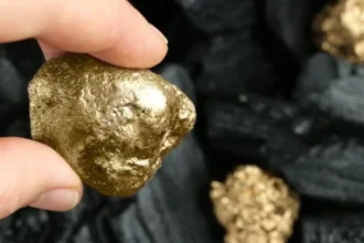 AngloGold Ashanti consolida su presencia en Estados Unidos tras concretar la adquisición total de Augusta Gold