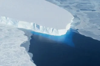 Antártida pierde 36.700 km² de plataformas de hielo y ya replica el patrón de Groenlandia: por qué preocupa a los científicos
