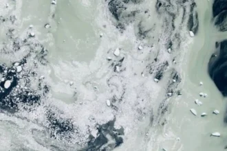 Antártida: satélites europeos detectan aguas verdes entre el hielo marino en el mar de la Cooperación