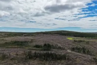 Anteros Metals informa de los resultados del ensayo del RM26-01 y ofrece una actualización de la exploración en el Proyecto de Minerales Críticos Seagull, Ontario