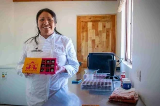 AntofaEmprende 2026: más de $130 millones para proyectos de triple impacto en educación y medio ambiente