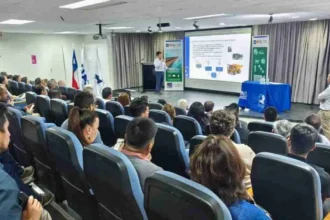 Antofagasta impulsa hidrógeno solar para transporte interurbano con proyecto FIC-R liderado por la Universidad de Antofagasta