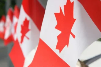 Aranceles: Canadá baja a 6,1% y abre un cupo de 49.000 autos eléctricos chinos, el giro que tensiona a EE.UU.