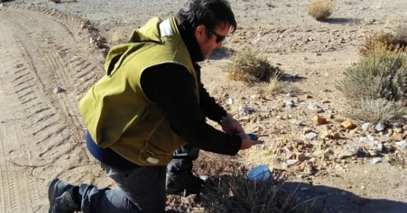 Argentina: Battery Age Minerals identifica anomalías de oro y plata a escala kilométrica en el proyecto El Aguila