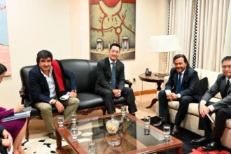 Argentina: Compañía china extraerá litio del Salar de Diablillos