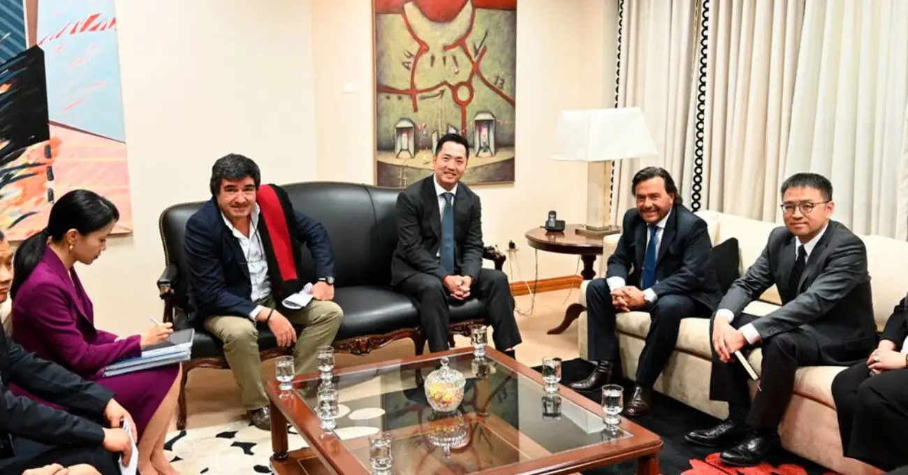 Argentina: Compañía china extraerá litio del Salar de Diablillos