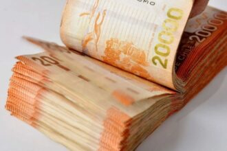 Gobierno anuncia aumento gradual de la PGU: adultos mayores recibirán hasta $250.000 desde 2025