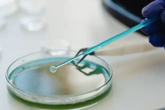 Bacterias resistentes a antibióticos y glifosato alertan a la salud pública