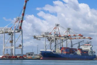 Balanza comercial: superávit de US$ 3.811 millones en enero y la señal que dejó la baja de importaciones